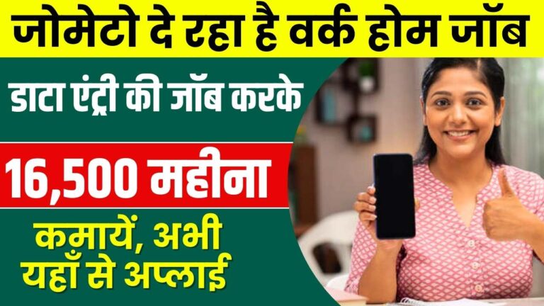 Zomato Online Work From Home Job